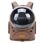 ClearView Pet Carrier – Foldable Airy Comfort, Portable Shoulder Bag for Cats on the Go