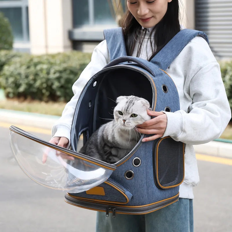 ClearView Pet Carrier – Foldable Airy Comfort, Portable Shoulder Bag for Cats on the Go