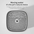 3L Cat Water Fountain – Auto‑Recirculating, Triple Filtration, Ultra‑Quiet USB Dispenser for Hydrated Cats