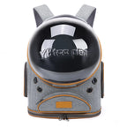 ClearView Pet Carrier – Foldable Airy Comfort, Portable Shoulder Bag for Cats on the Go