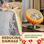 Durian Cat Bed & Scratcher – Multi‑Use Comfort, Sisal Pad + Hideaway, Perfect for Rest & Play