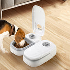 Smart Auto Pet Feeder – Timed Meals, Fresh‑Keep Design, Perfect for Busy Cat & Dog Owners